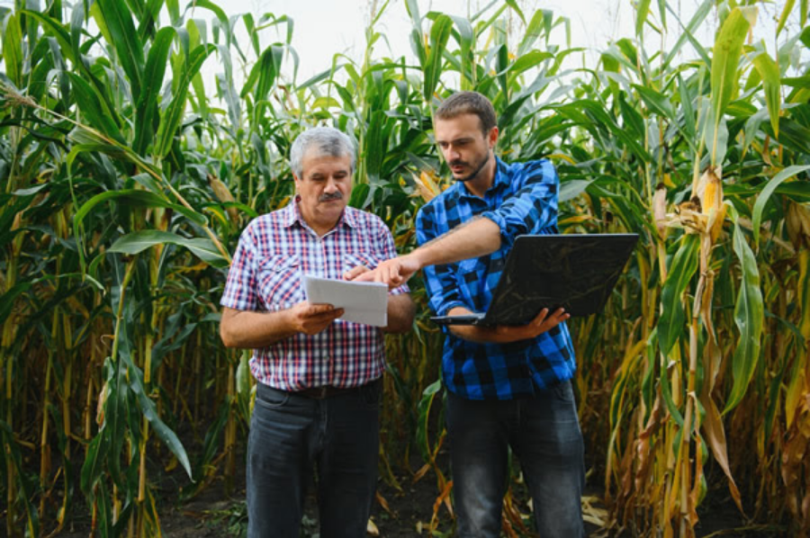 Soluciones digitales para el agro: Albor presentó herramientas tecnológicas en la Rural 